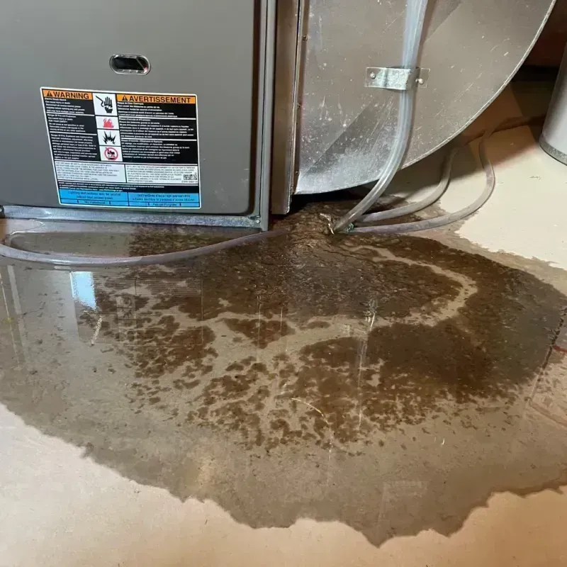 Appliance Leak Cleanup in Superior, CO